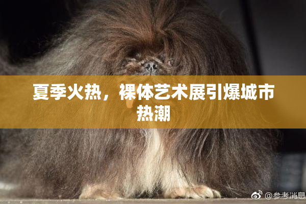 夏季火热，裸体艺术展引爆城市热潮