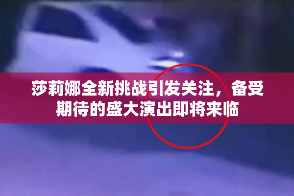 莎莉娜全新挑战引发关注，备受期待的盛大演出即将来临