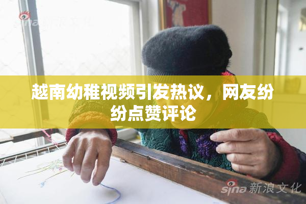 越南幼稚视频引发热议，网友纷纷点赞评论