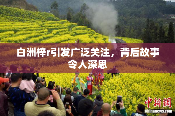 白洲梓r引发广泛关注，背后故事令人深思