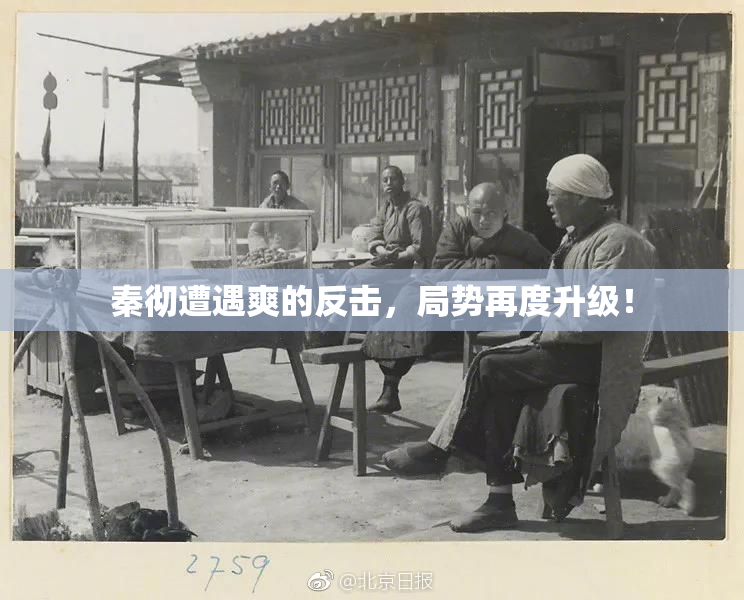 秦彻遭遇爽的反击，局势再度升级！