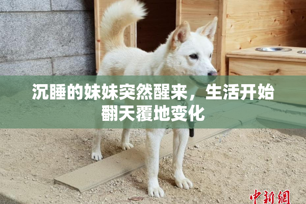 沉睡的妹妹突然醒来，生活开始翻天覆地变化