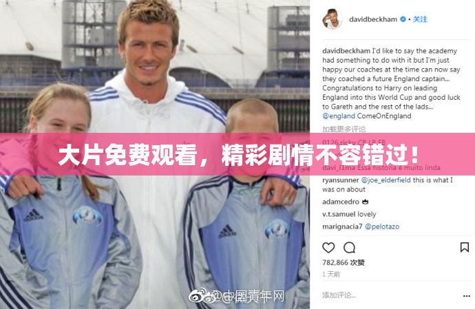 大片免费观看，精彩剧情不容错过！