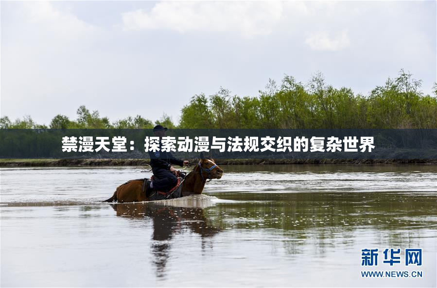 禁漫天堂：探索动漫与法规交织的复杂世界