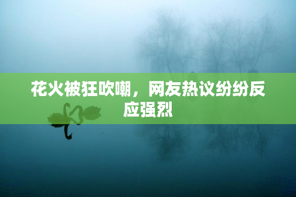 花火被狂吹嘲，网友热议纷纷反应强烈