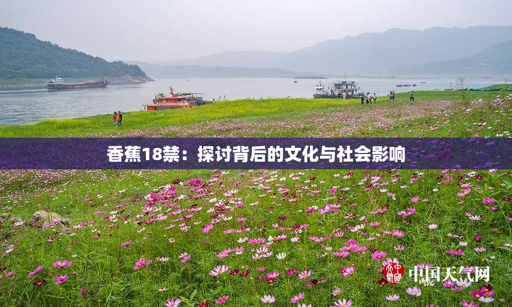 香蕉18禁：探讨背后的文化与社会影响