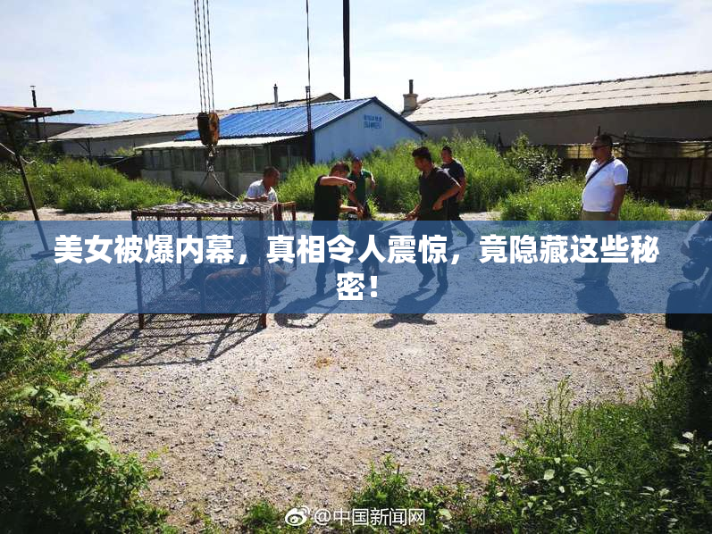 美女被爆内幕，真相令人震惊，竟隐藏这些秘密！