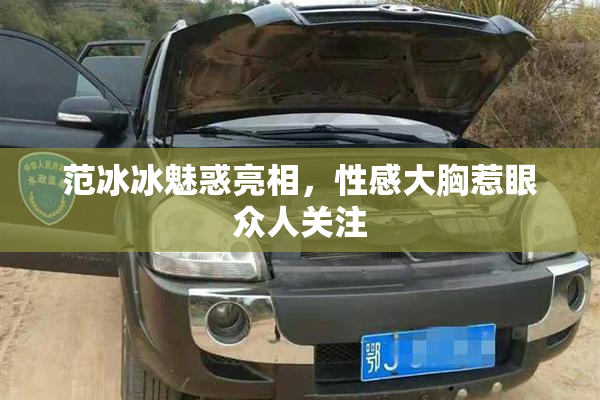 范冰冰魅惑亮相，性感大胸惹眼众人关注
