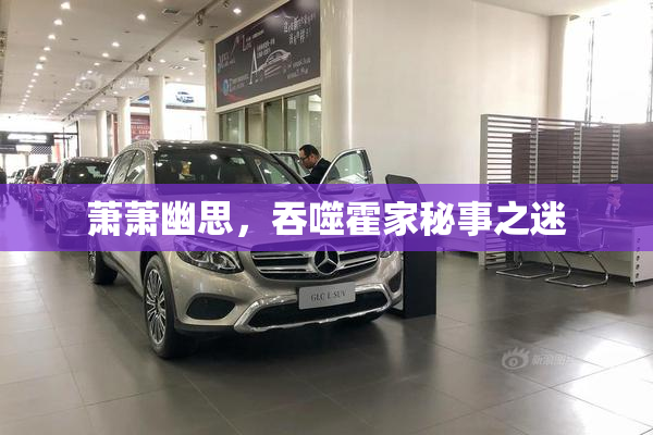 萧萧幽思，吞噬霍家秘事之迷