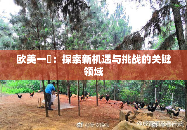 欧美一級：探索新机遇与挑战的关键领域