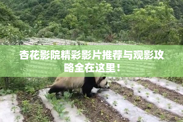 杏花影院精彩影片推荐与观影攻略全在这里！