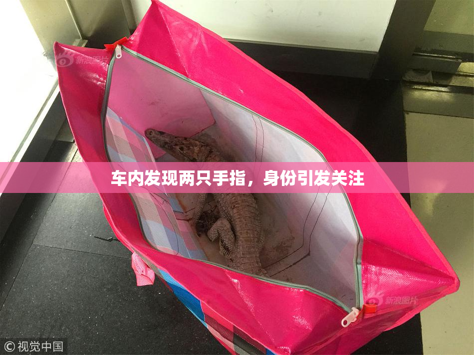 车内发现两只手指，身份引发关注