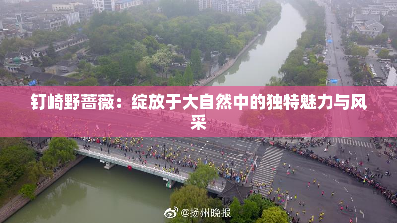 钉崎野蔷薇：绽放于大自然中的独特魅力与风采