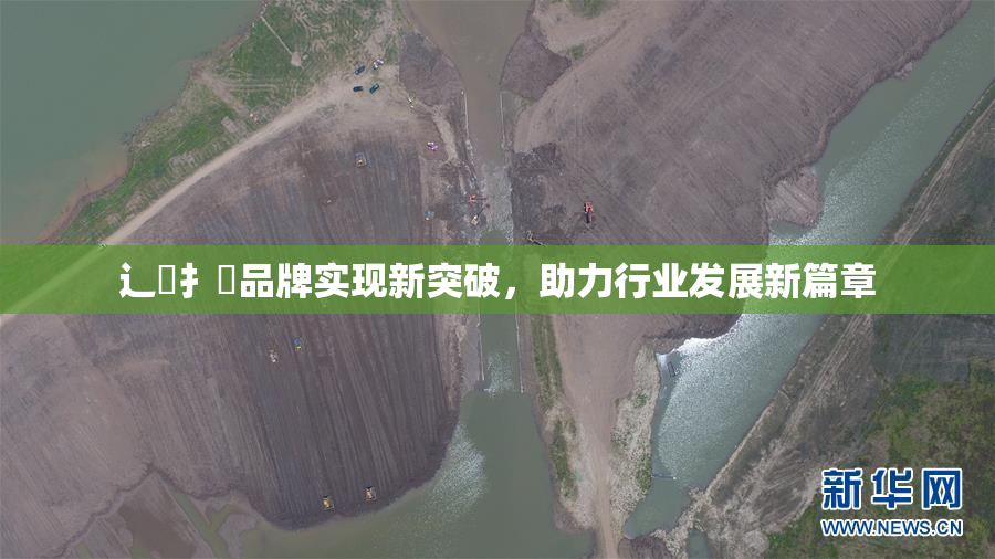 辶喿扌畐品牌实现新突破，助力行业发展新篇章
