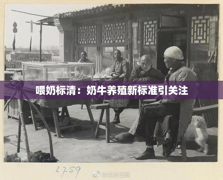 喂奶标清：奶牛养殖新标准引关注