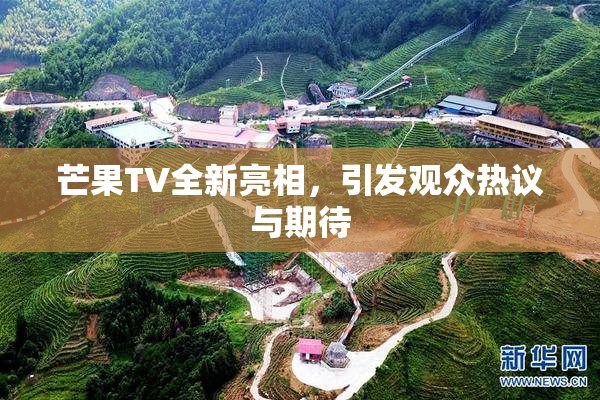芒果TV全新亮相，引发观众热议与期待
