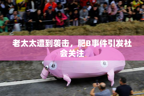 老太太遭到袭击，肥B事件引发社会关注