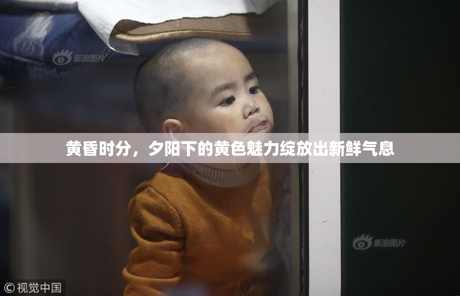黄昏时分，夕阳下的黄色魅力绽放出新鲜气息