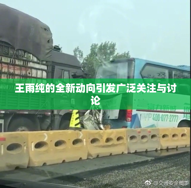 王雨纯的全新动向引发广泛关注与讨论