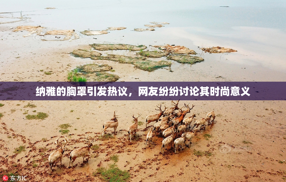 纳雅的胸罩引发热议，网友纷纷讨论其时尚意义