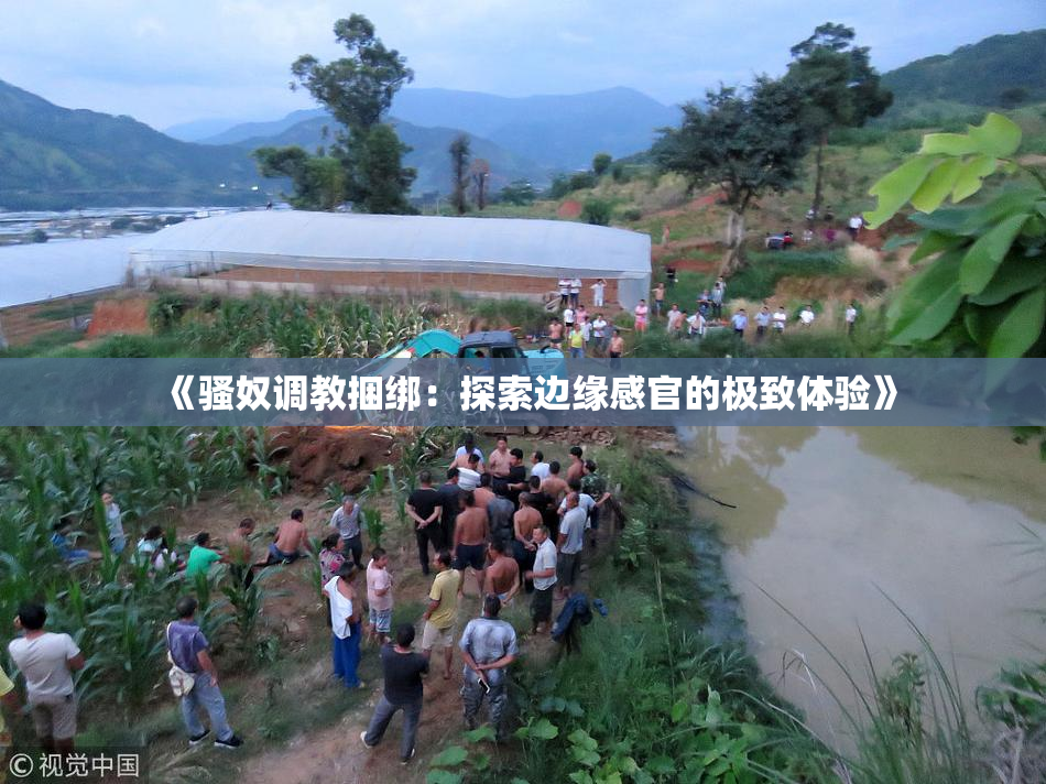《骚奴调教捆绑：探索边缘感官的极致体验》