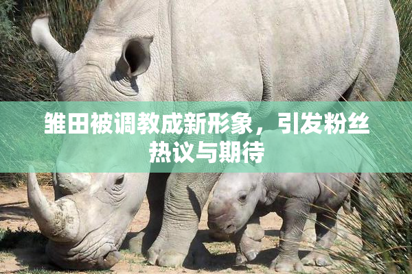 雏田被调教成新形象，引发粉丝热议与期待