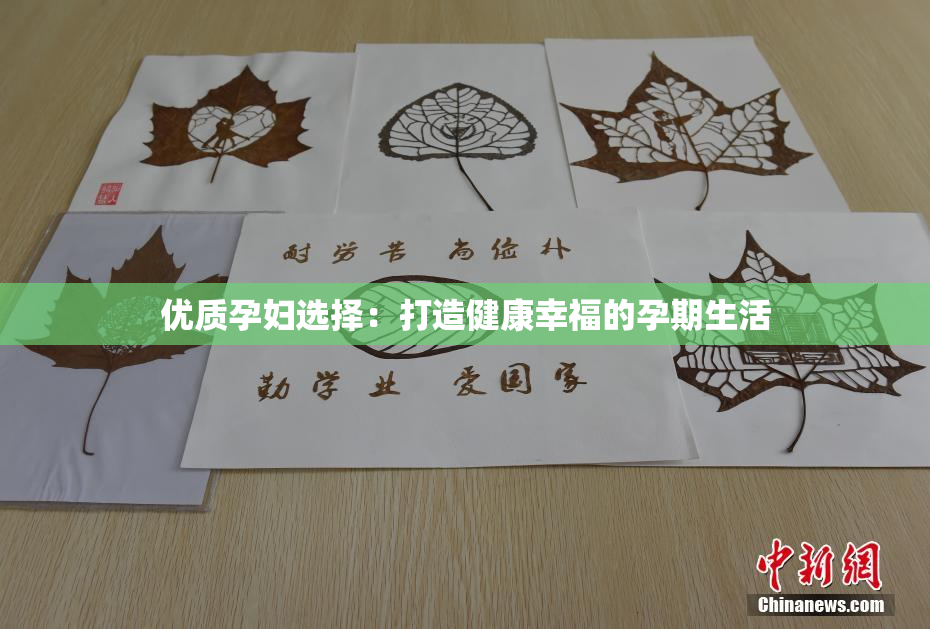 优质孕妇选择：打造健康幸福的孕期生活