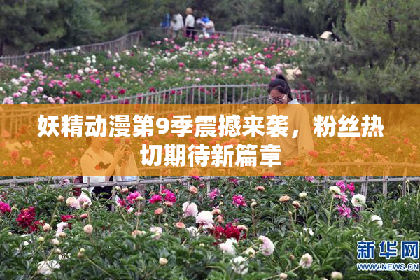 妖精动漫第9季震撼来袭，粉丝热切期待新篇章