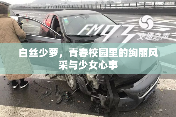 白丝少萝，青春校园里的绚丽风采与少女心事