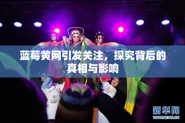 蓝莓黄网引发关注，探究背后的真相与影响