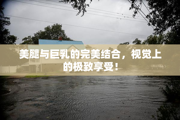 美腿与巨乳的完美结合，视觉上的极致享受！