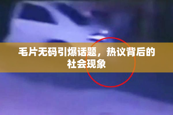 毛片无码引爆话题，热议背后的社会现象
