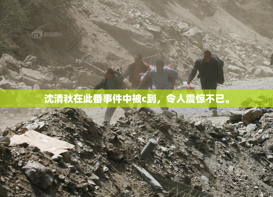 沈清秋在此番事件中被c到，令人震惊不已。