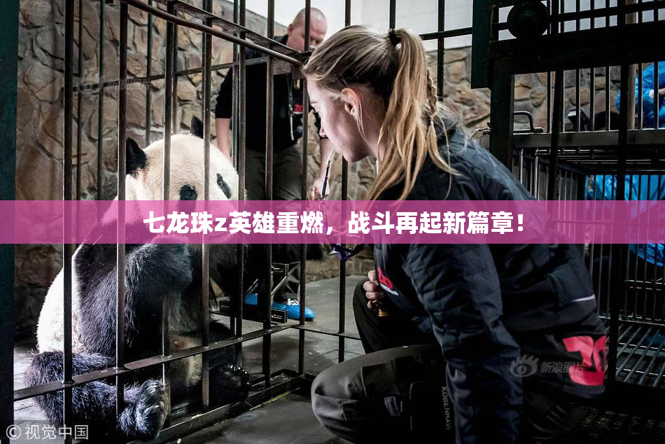 七龙珠z英雄重燃，战斗再起新篇章！