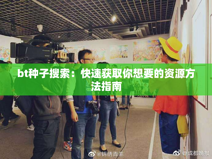 bt种子搜索：快速获取你想要的资源方法指南