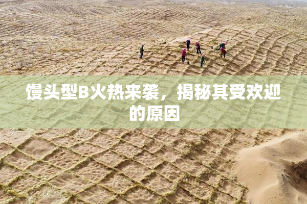 馒头型B火热来袭，揭秘其受欢迎的原因