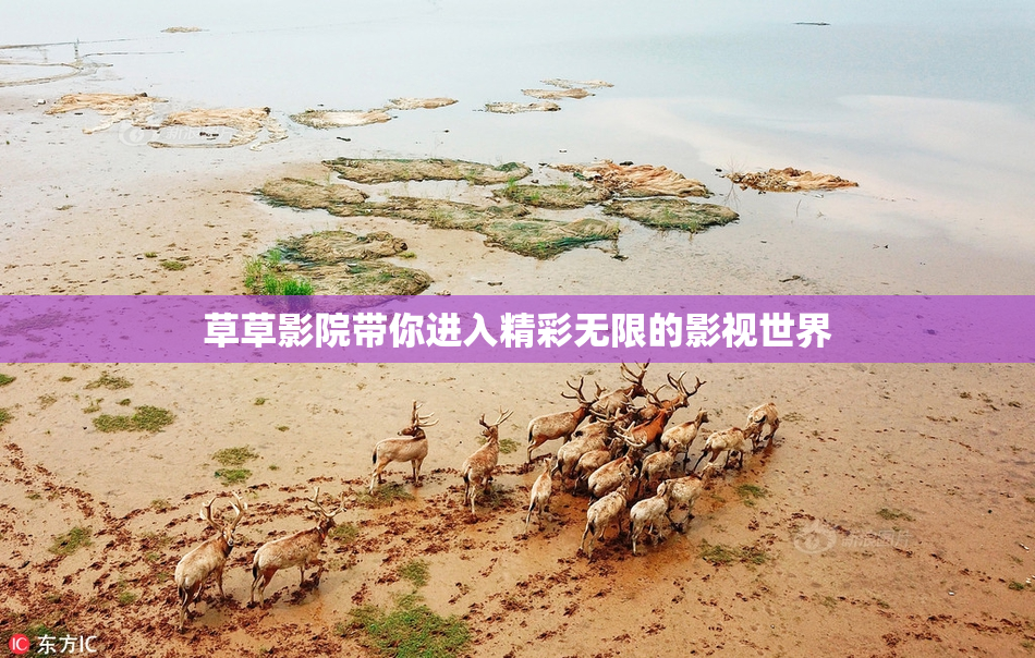 草草影院带你进入精彩无限的影视世界
