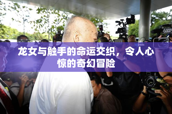 龙女与触手的命运交织，令人心惊的奇幻冒险