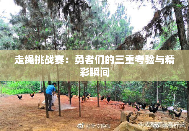 走绳挑战赛：勇者们的三重考验与精彩瞬间