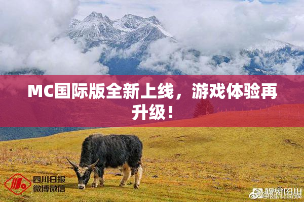 MC国际版全新上线，游戏体验再升级！