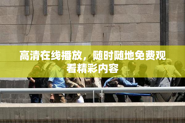 高清在线播放，随时随地免费观看精彩内容