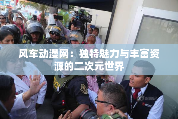 风车动漫网：独特魅力与丰富资源的二次元世界