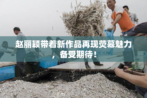 赵丽颖带着新作品再现荧幕魅力，备受期待！