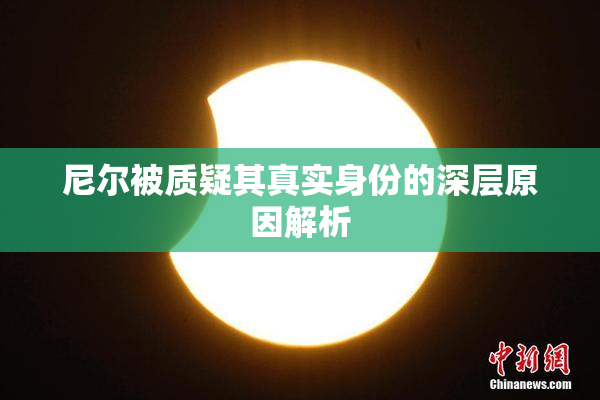 尼尔被质疑其真实身份的深层原因解析