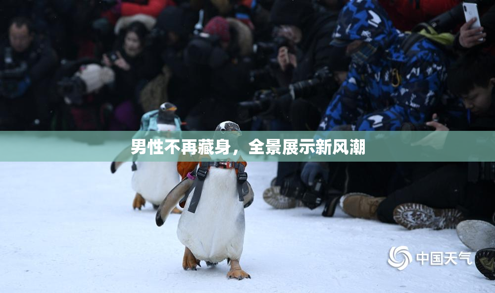男性不再藏身，全景展示新风潮