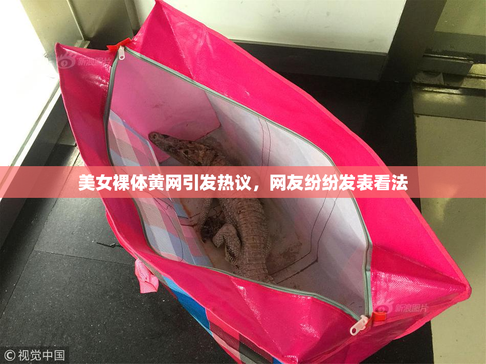 美女裸体黄网引发热议，网友纷纷发表看法