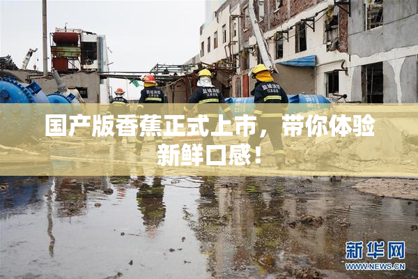国产版香蕉正式上市，带你体验新鲜口感！