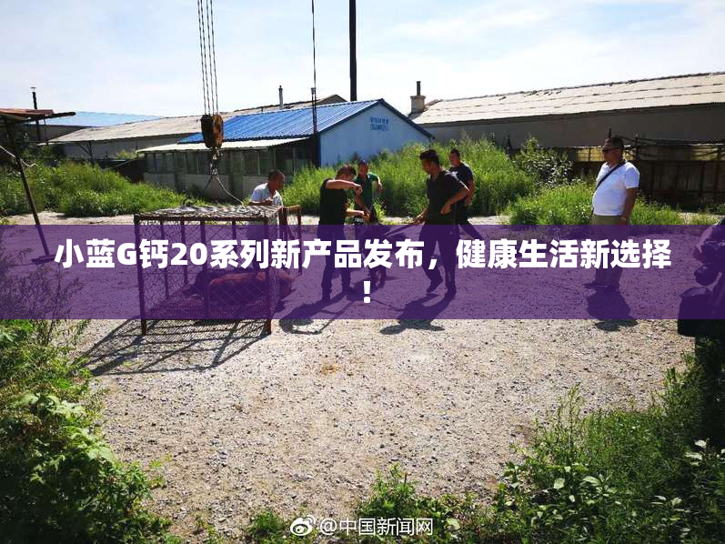小蓝G钙20系列新产品发布，健康生活新选择！