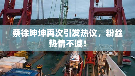 蔡徐坤坤再次引发热议，粉丝热情不减！