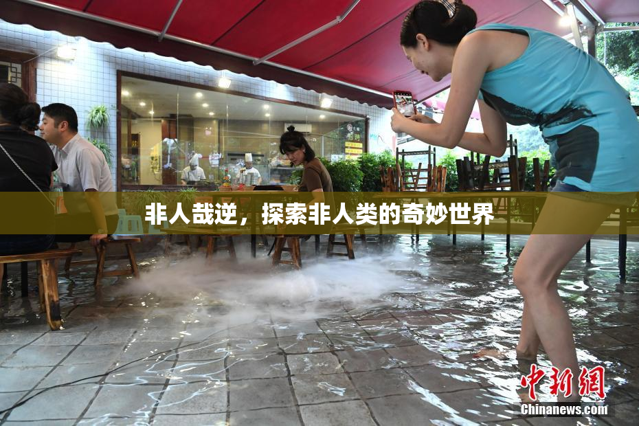 非人哉逆，探索非人类的奇妙世界